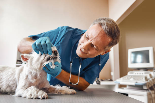 Best Emergency TMJ Treatment in Randolph Af, TX